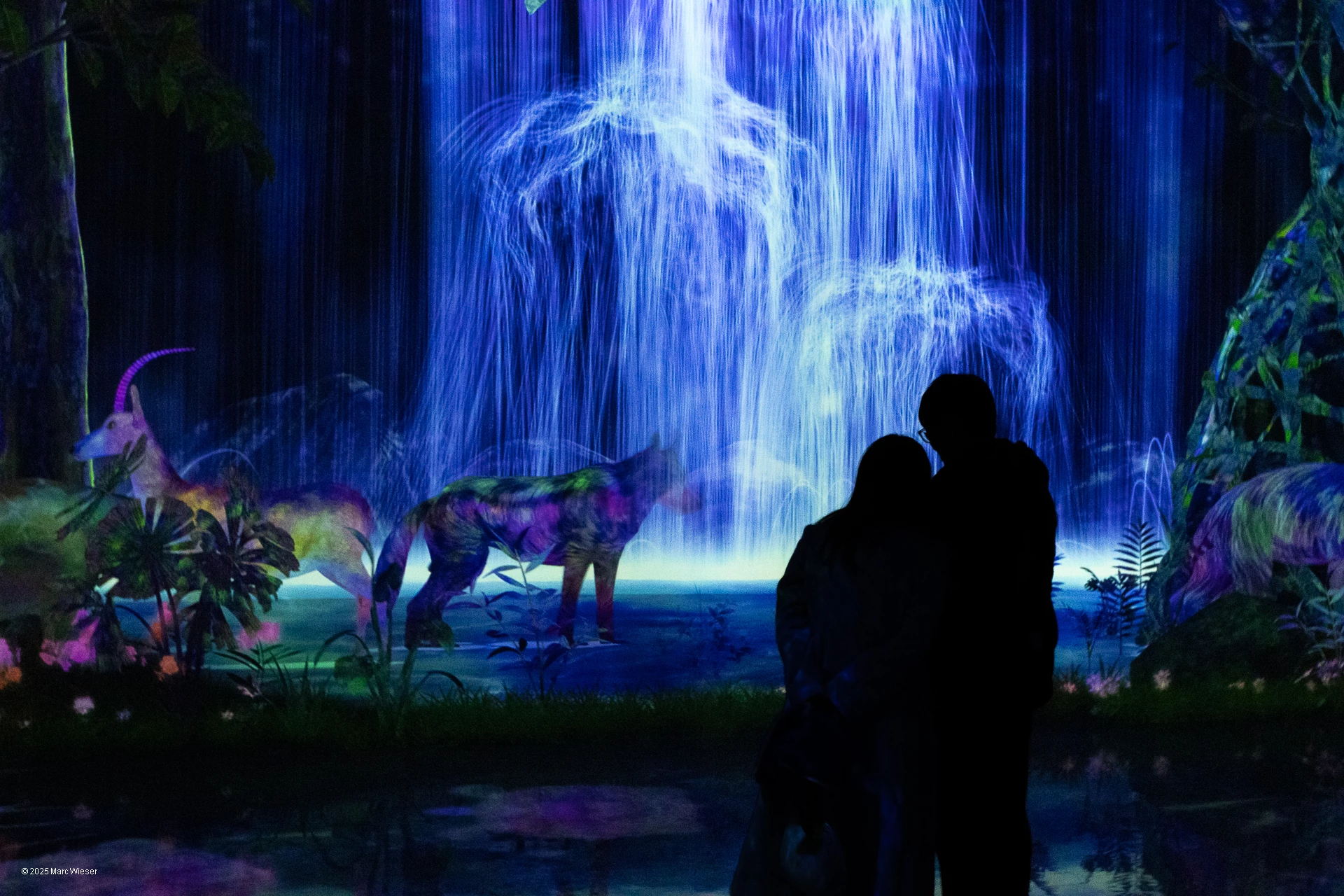 Un couple en ombre devant la projection d’une cascade