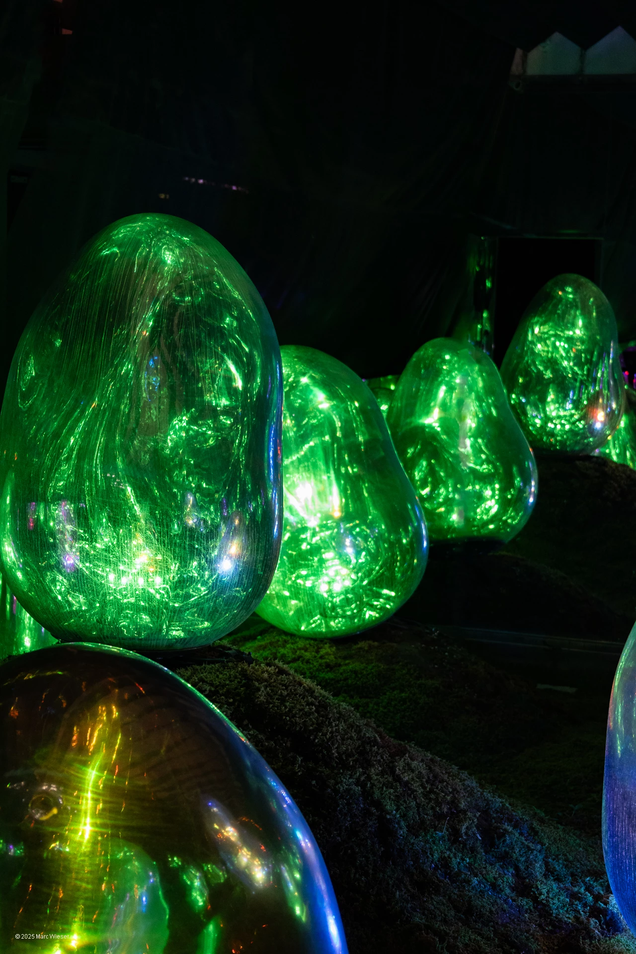 Démonstration des oeufs illuminés se reflétant dans le mur. Seul 3 oeufs sont réels